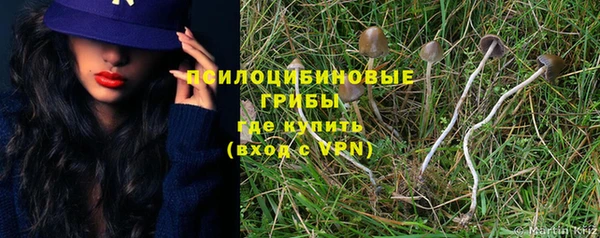 амфетамин Белокуриха