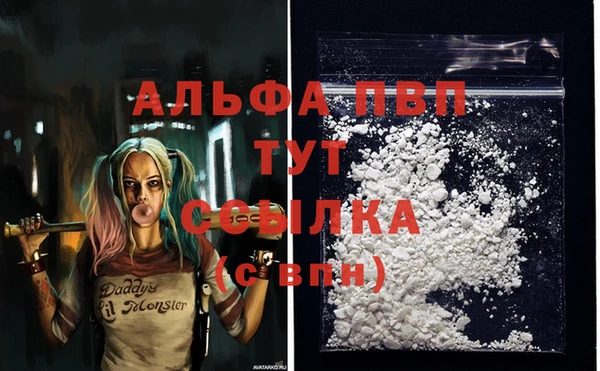 амфетамин Белокуриха