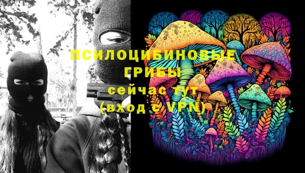 амфетамин Белокуриха